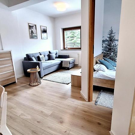 Why Not Apartament Przy Skoczni 扎科帕内 外观 照片