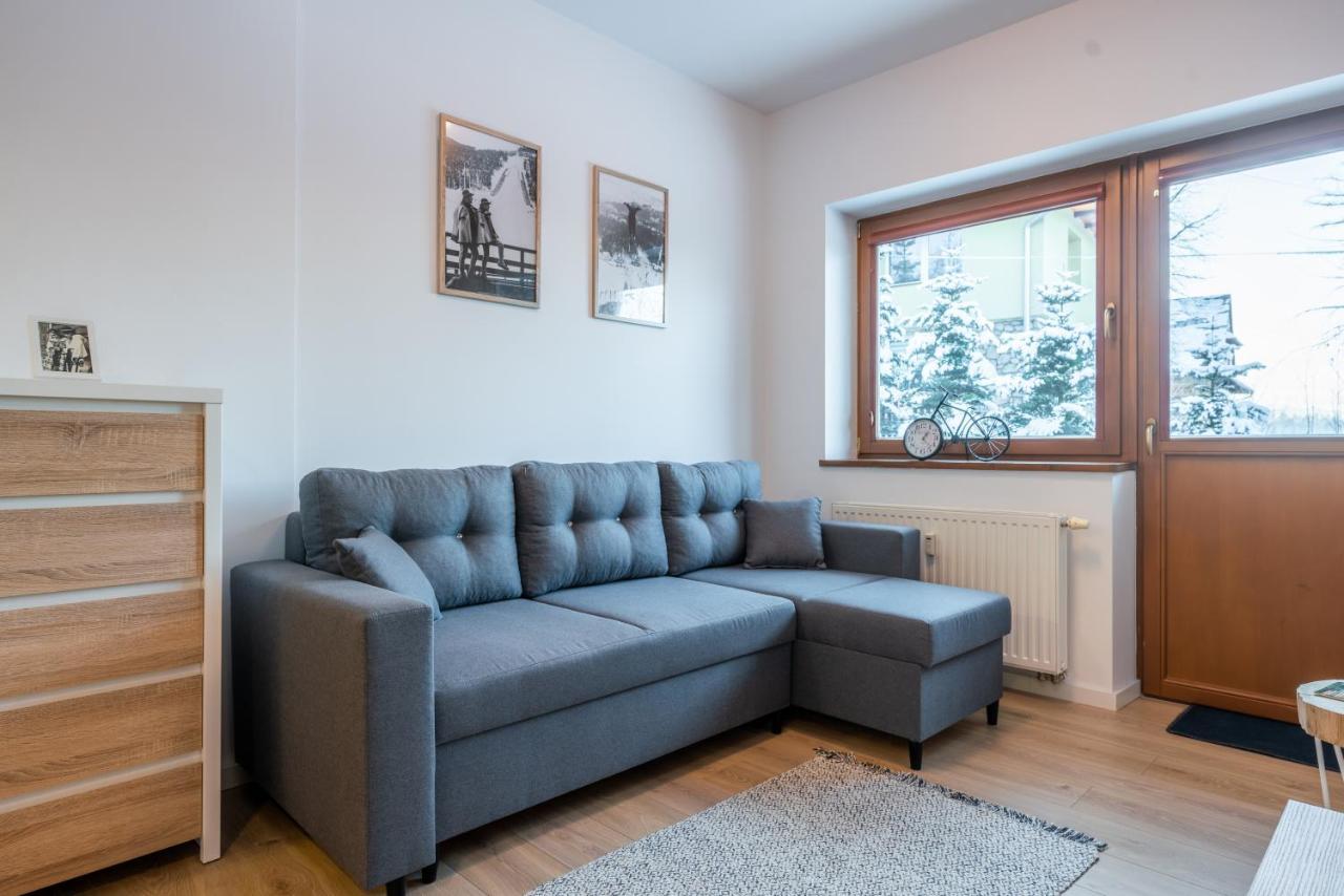 Why Not Apartament Przy Skoczni 扎科帕内 外观 照片